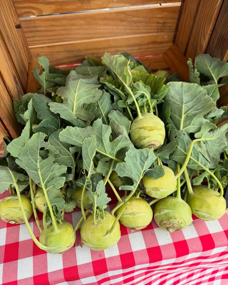 Mini Kohlrabi