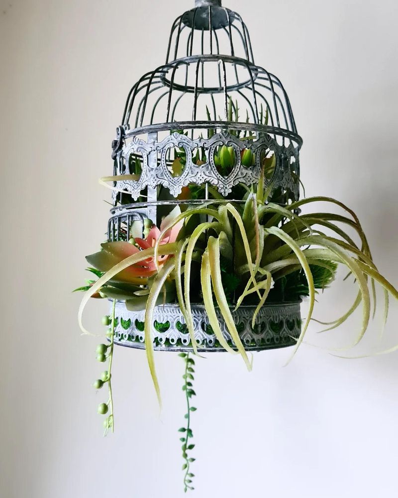 Miniature Birdcage