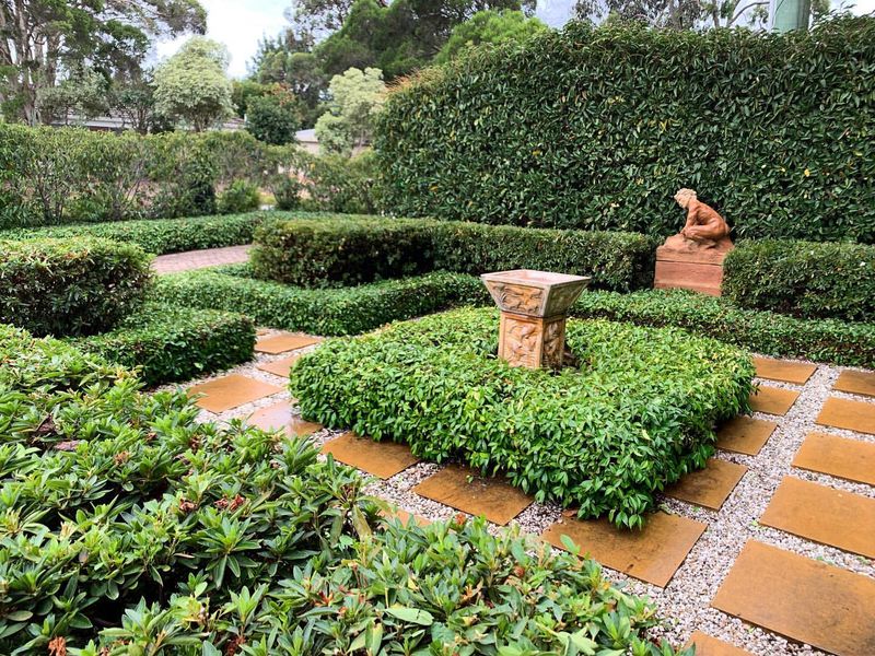 Miniature Maze Hedge