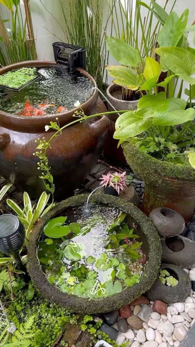 Miniature Pond