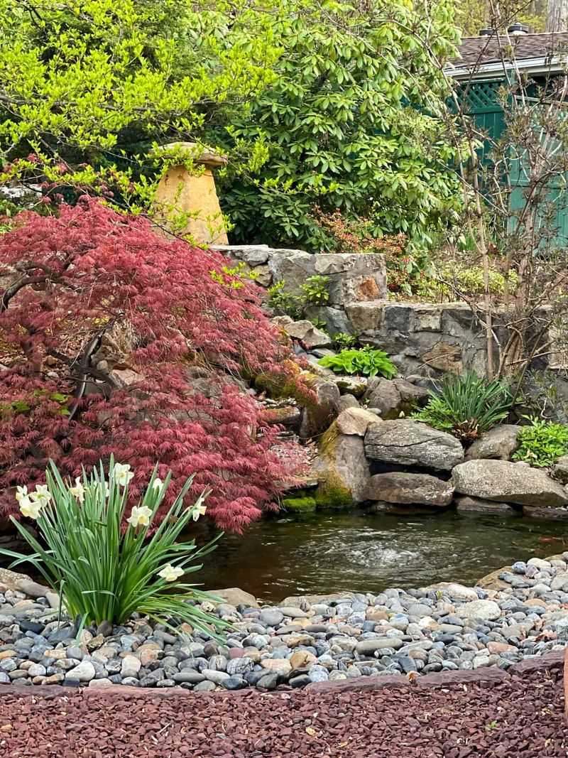 Miniature Zen Garden