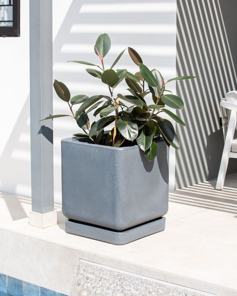 Minimalist Concrete Pots