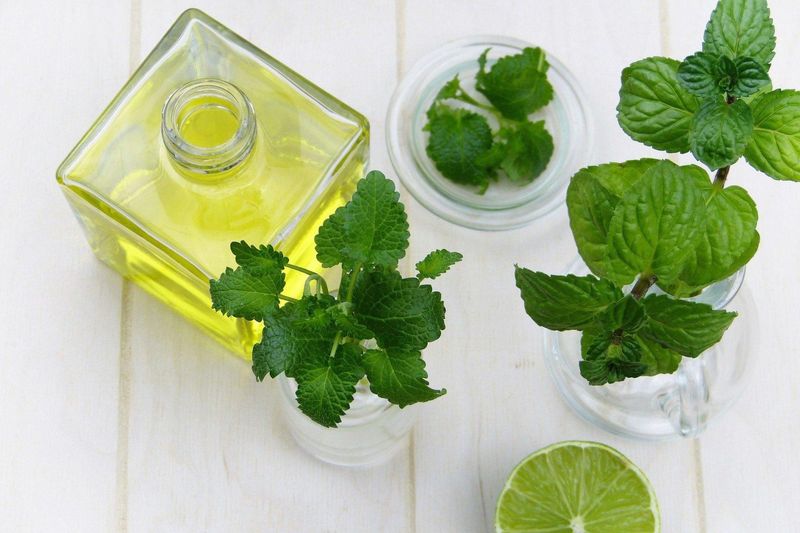 Mint-Infused Oil