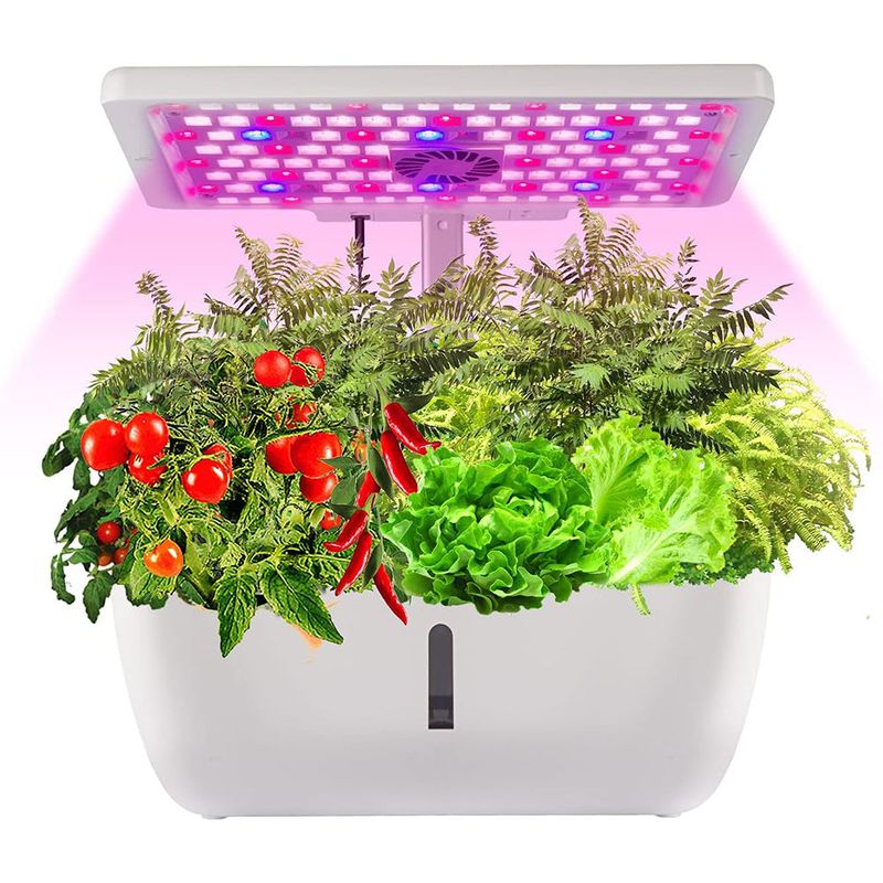 Moistenland Hydroponics Growing System