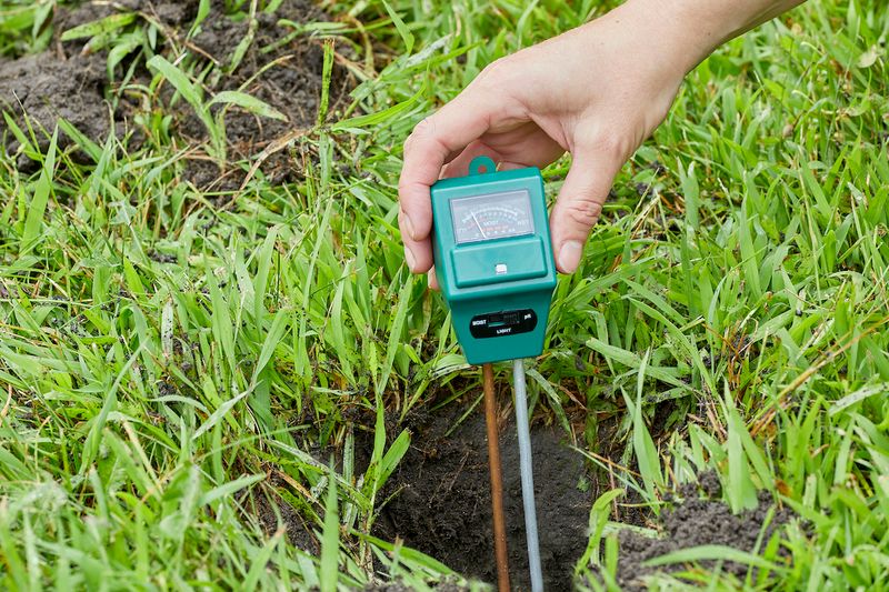 Monitor Soil pH