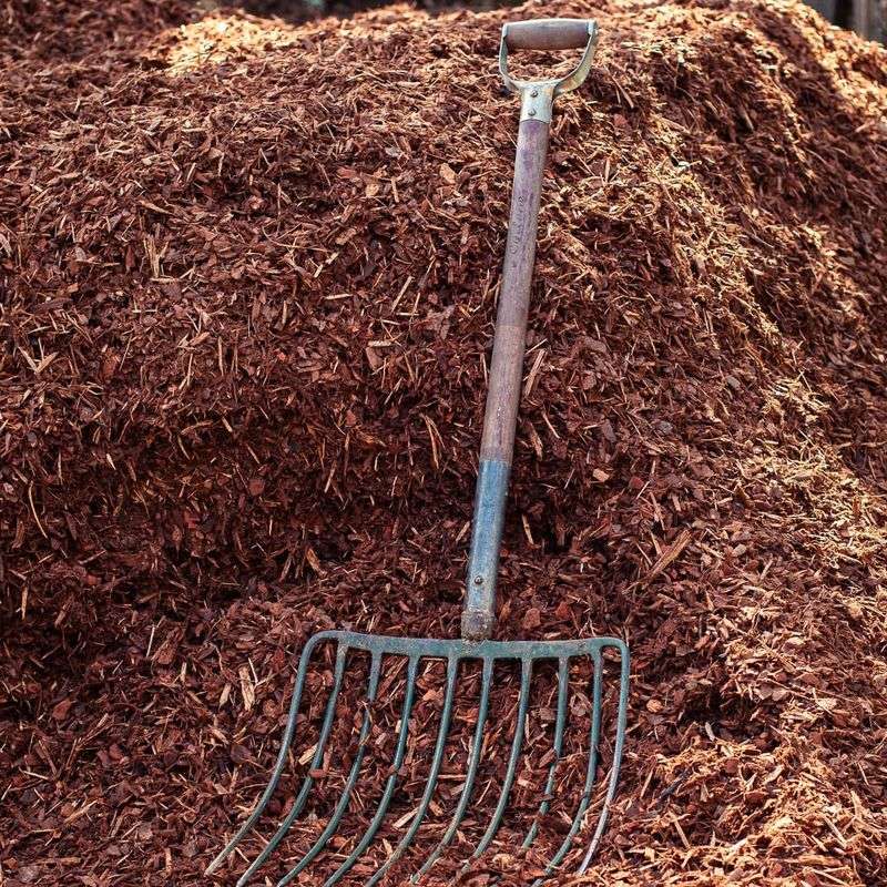 Mulch Layer