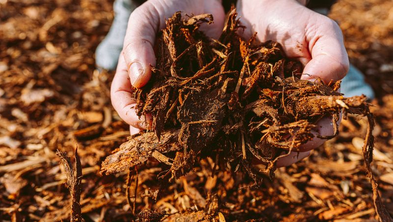 Mulch Magic