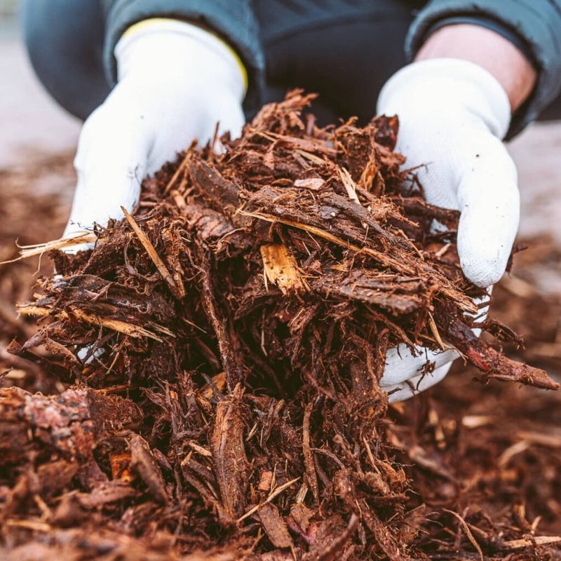 Mulching Benefits