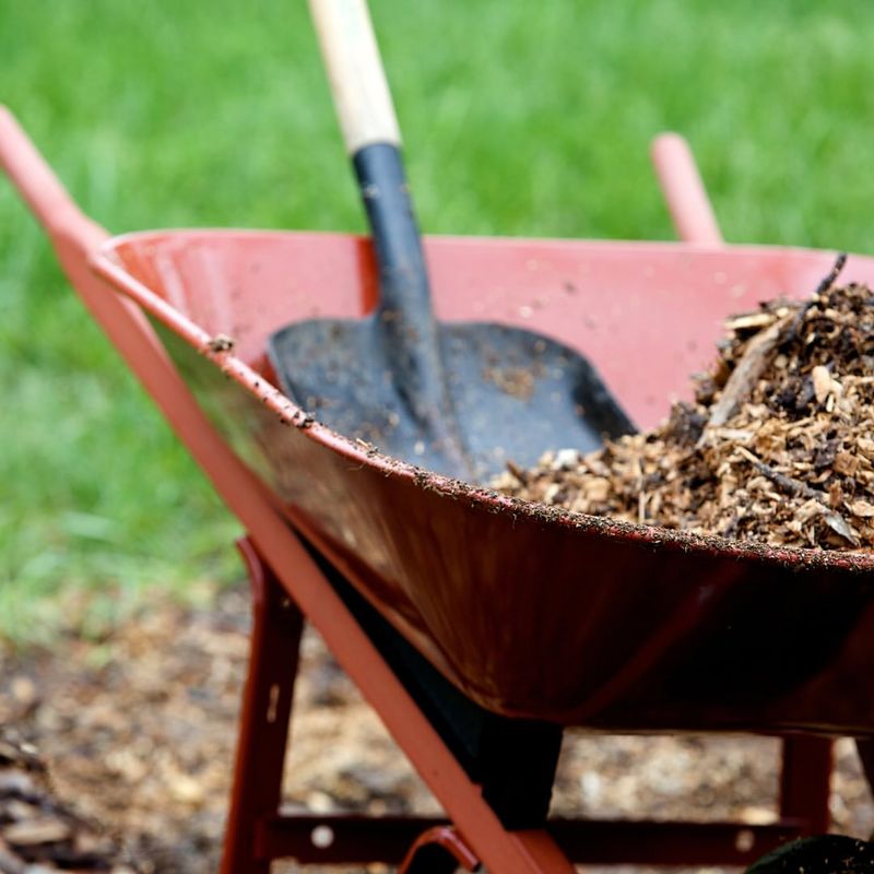 Mulching Benefits