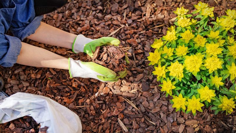 Mulching Keeps Weeds Away