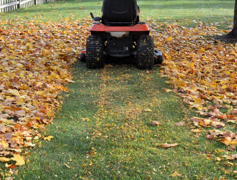 Mulching Leaves