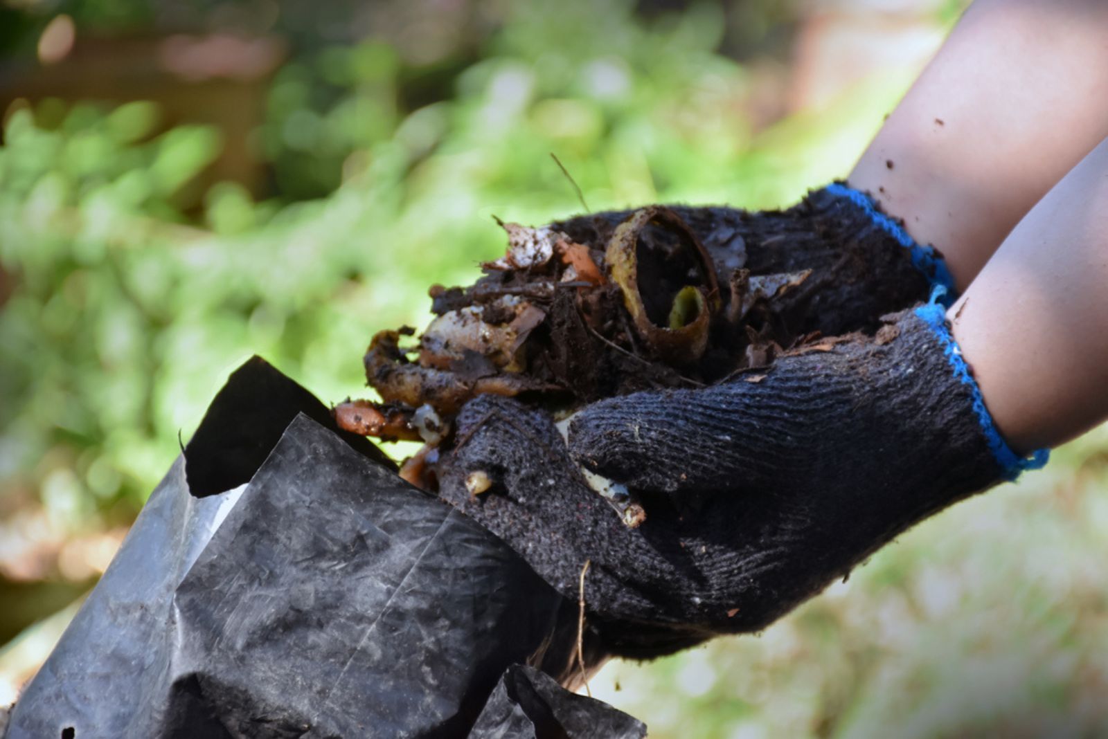 Mushroom Compost Mix