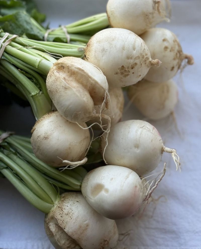 Turnips