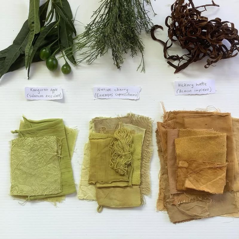 Natural Dye