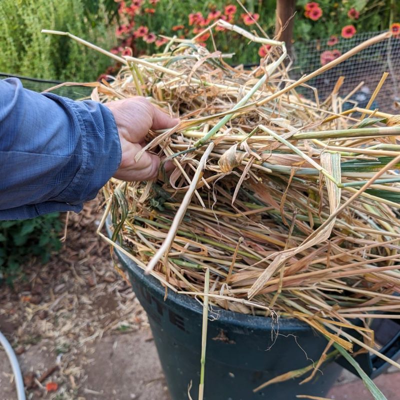 Natural Fertilizer