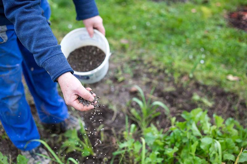 Natural Fertilizer Source