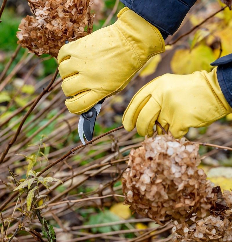 Natural Pruning Techniques