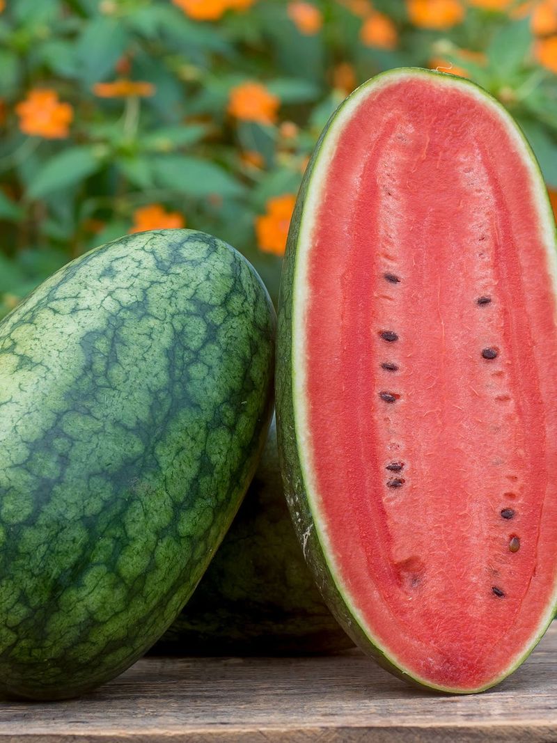 Nebraska's Gigantic Melon