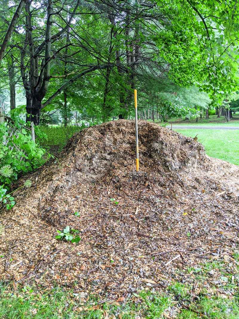 Neglecting Proper Mulch Disposal