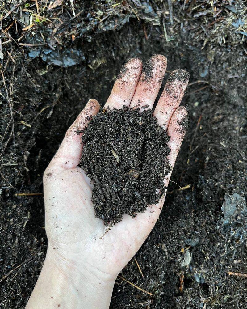 Neglecting Soil Health