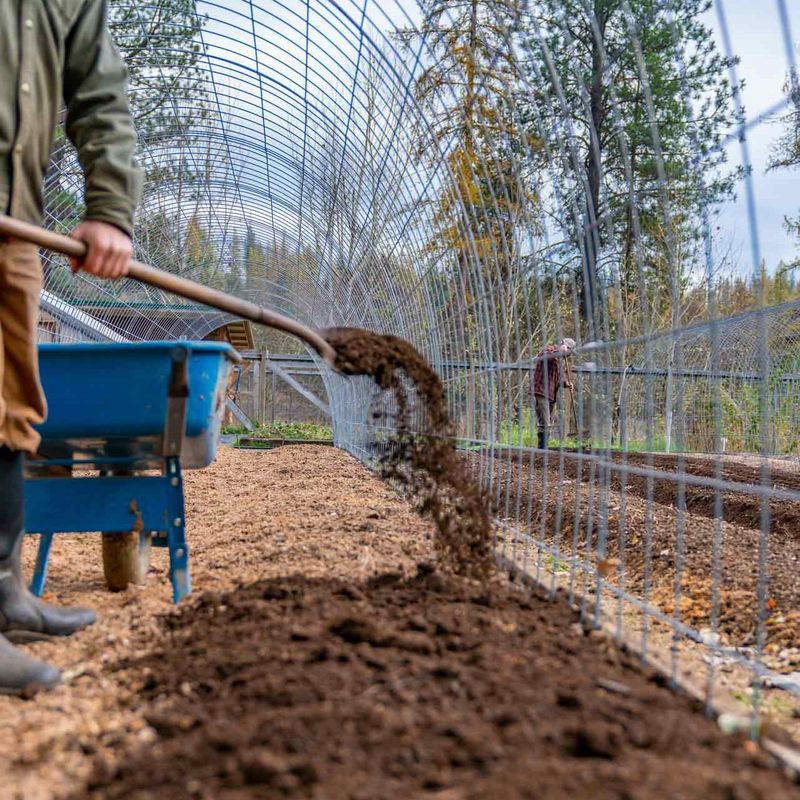 Neglecting Soil Quality