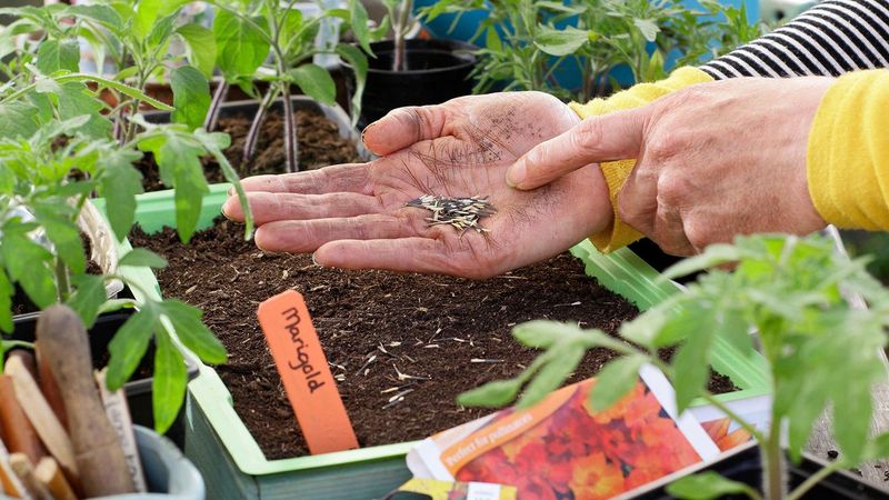 Neglecting to Label Seedlings