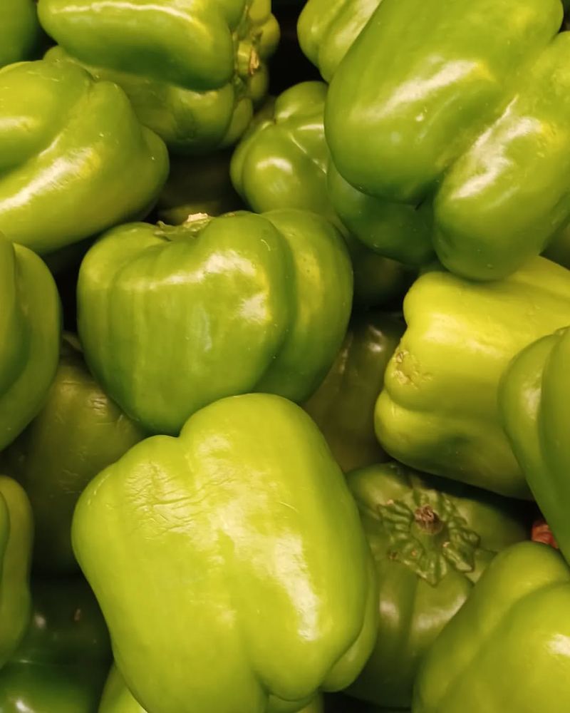 Nevada's Large Bell Pepper