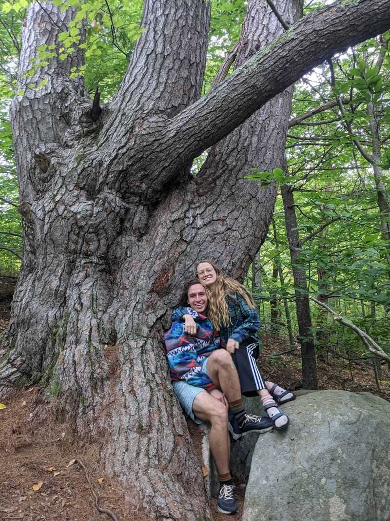 New Hampshire's Woodland Monarch