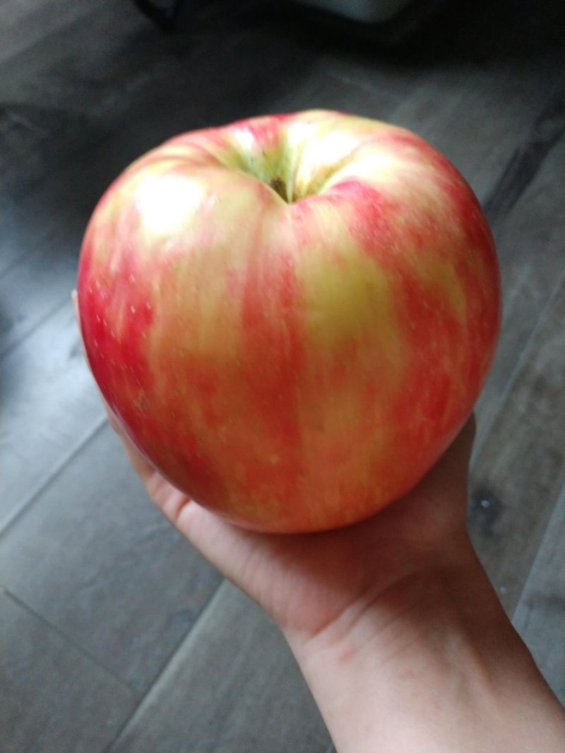 New York - Massive Apple