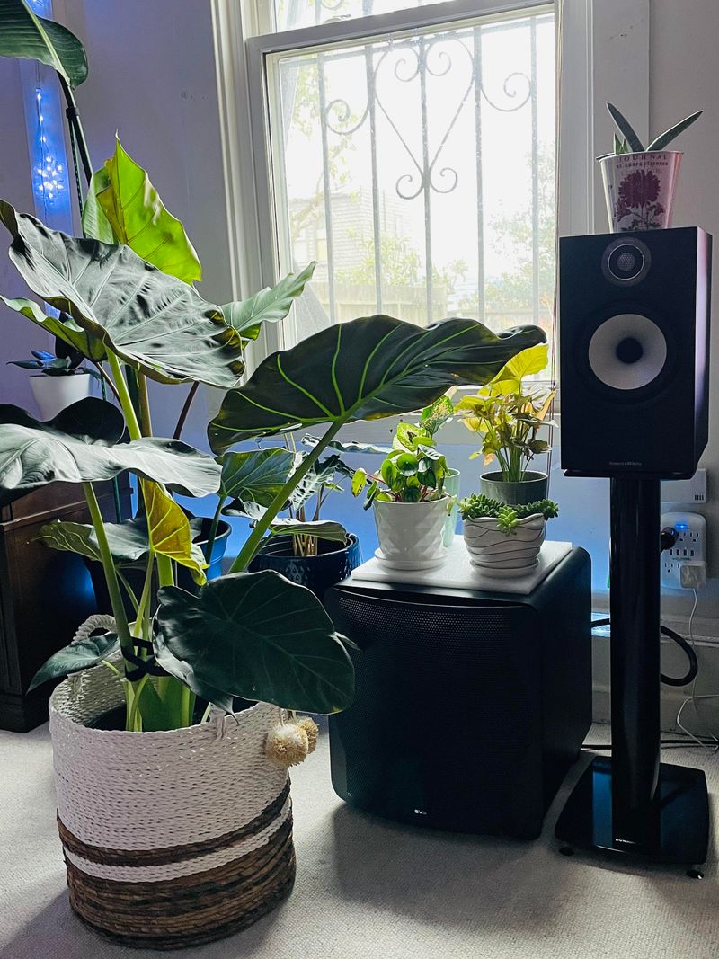 Next to Speakers