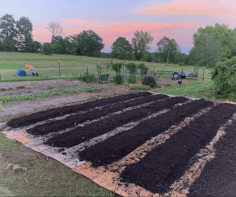 No-Till Gardening