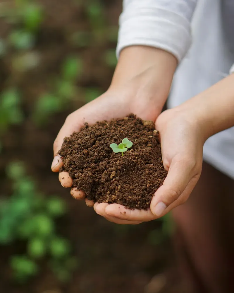 Nutrient Recycling