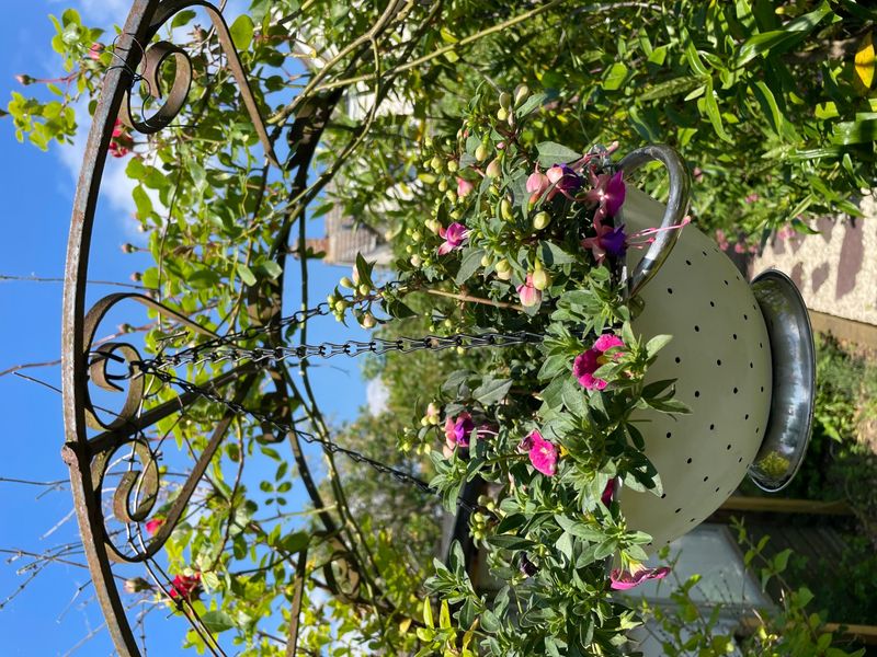 Colander Hanging Baskets