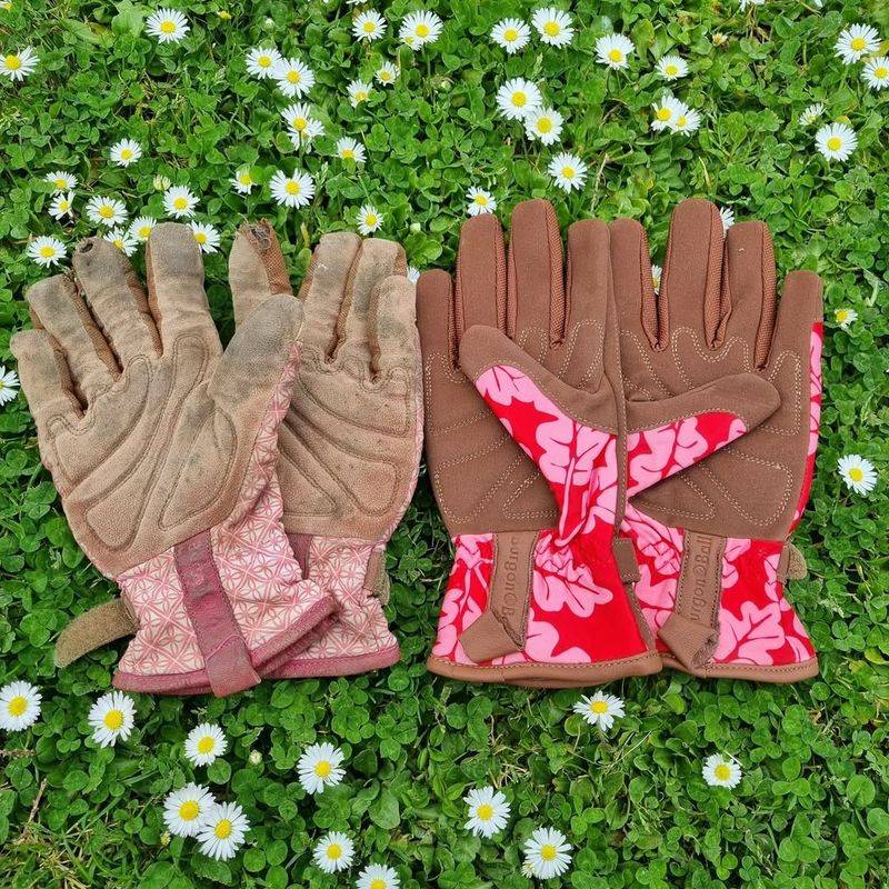 Old Garden Gloves