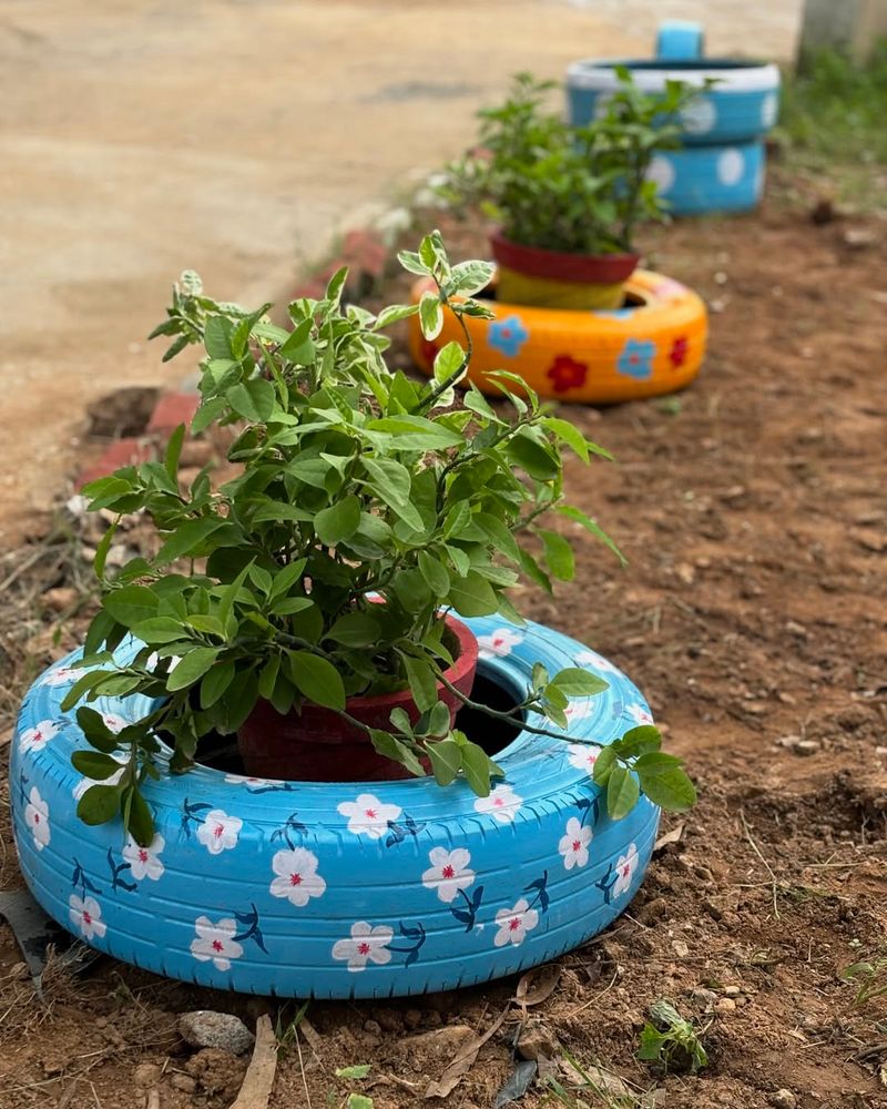 Old Tire Flower Bed