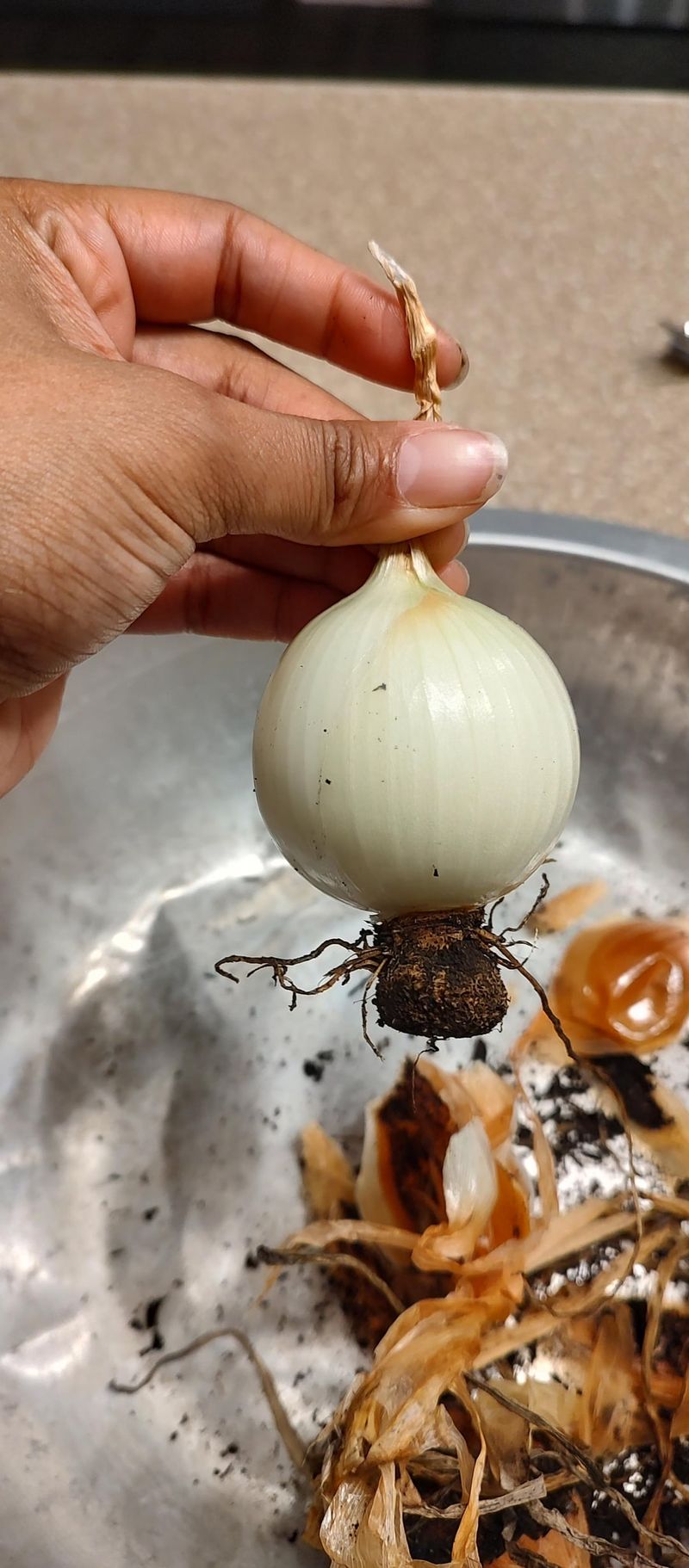 Onions and Garlic (Bad)