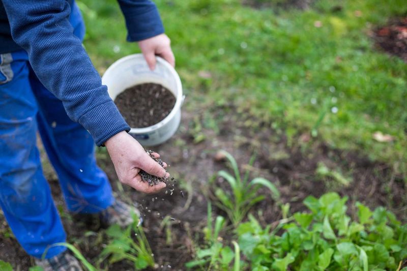 Organic Fertilizers