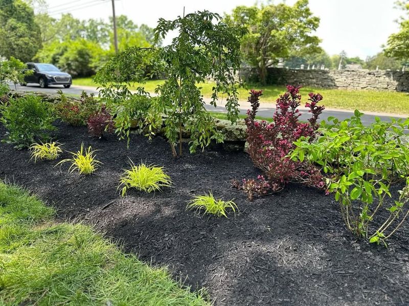 Organic Mulch