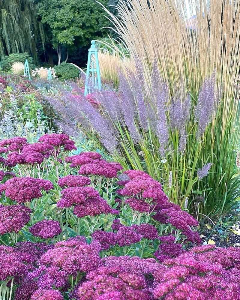 Ornamental Grasses & Sedum