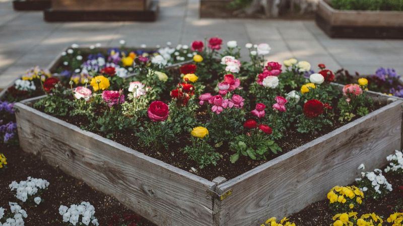 Overlooking Garden Planning