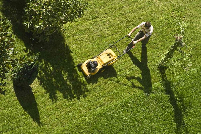 Overlooking Lawn Care