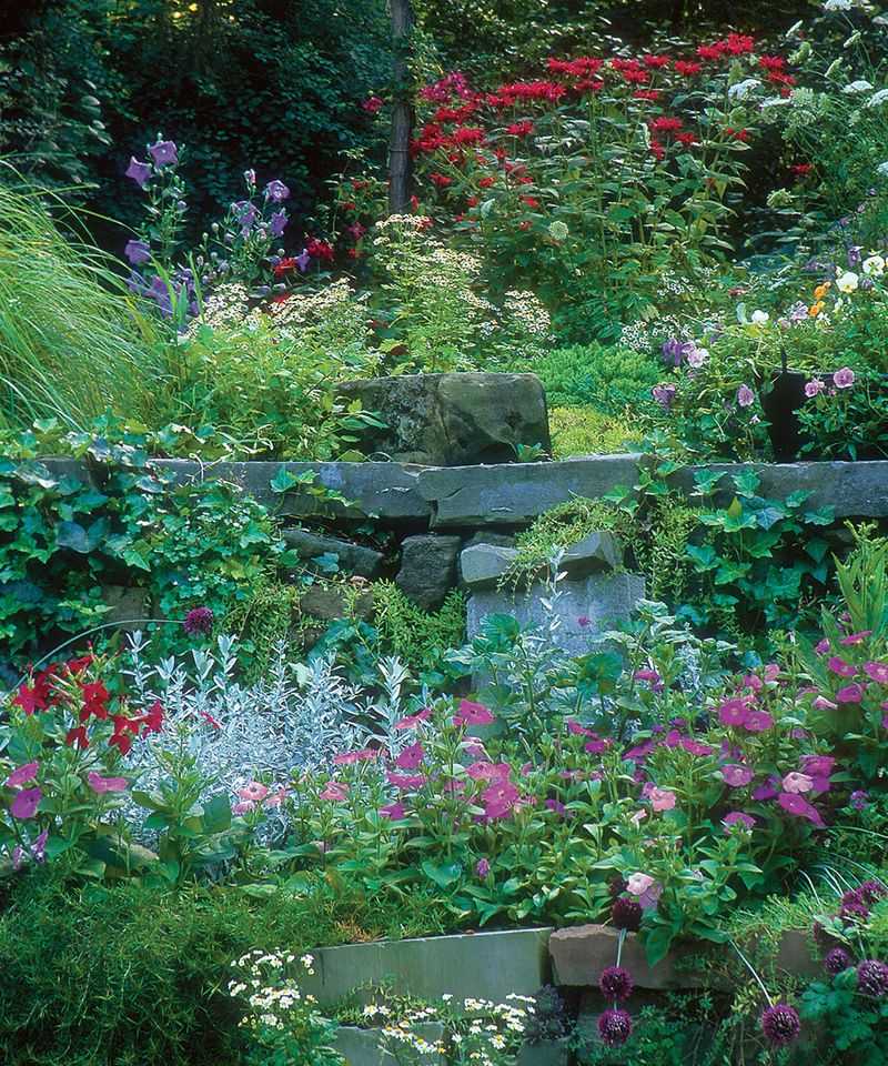 Overlooking Native Plants