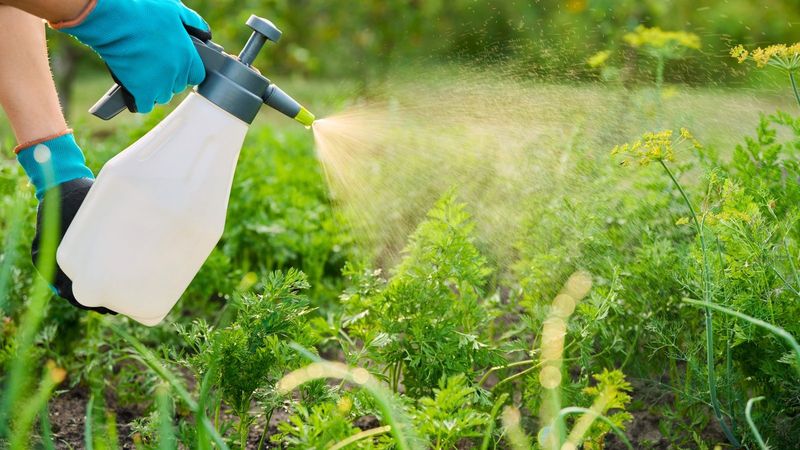 Overusing Herbicides