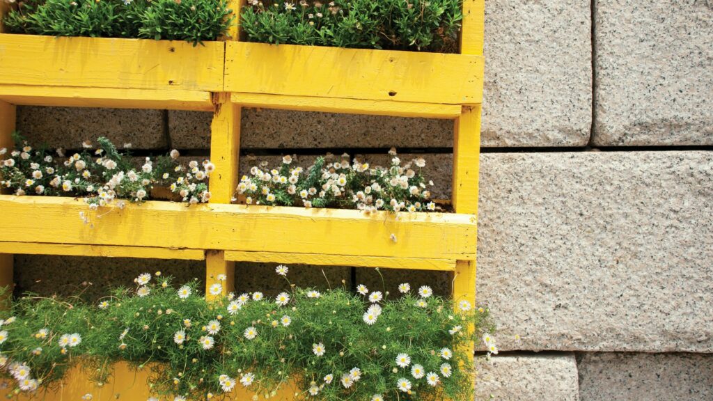 wood pallet wall planter