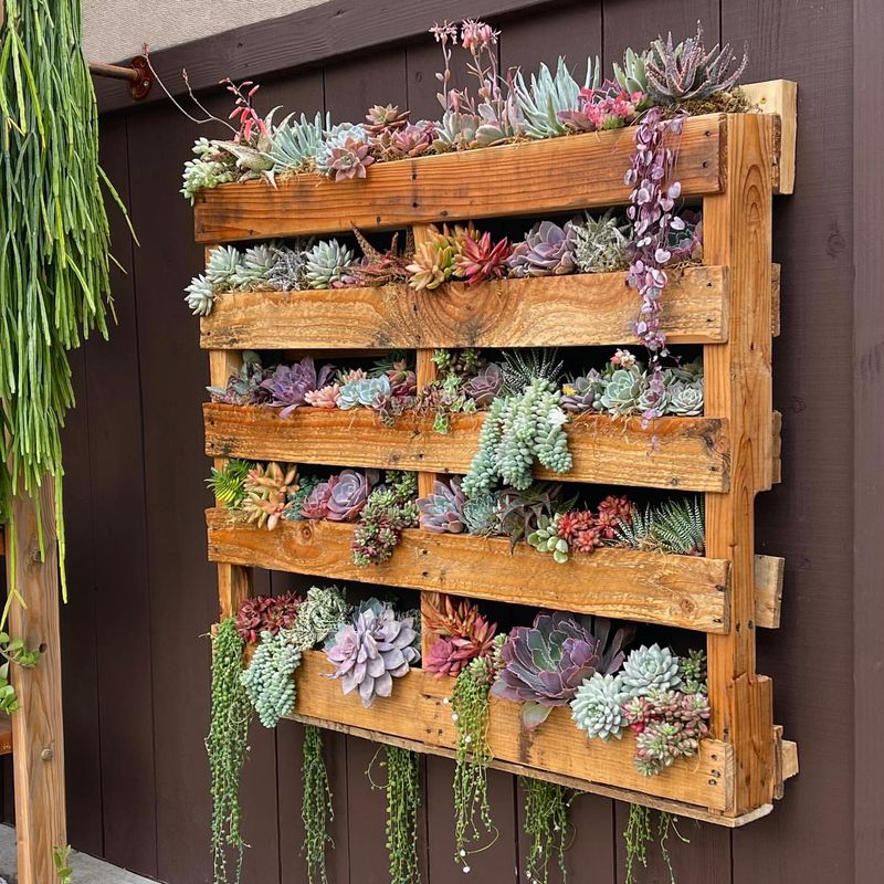 Pallet Planter Wall