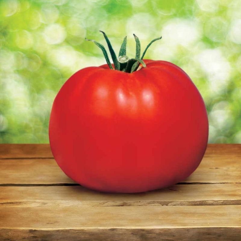 Park's Whopper Tomato