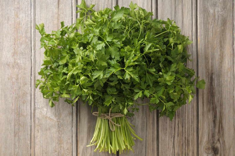 Parsley