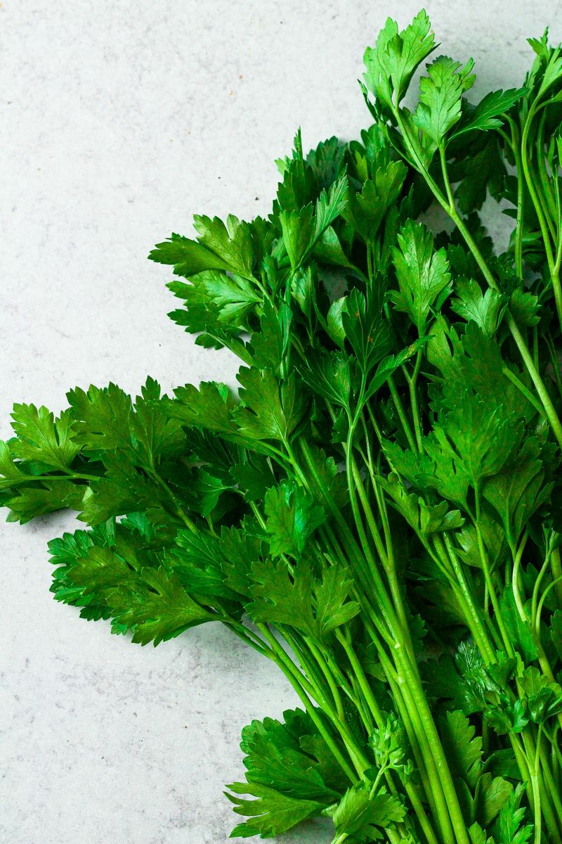 Parsley