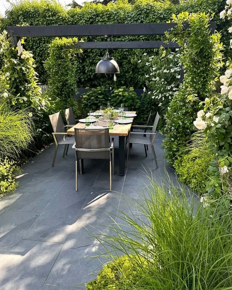 Patio Pergola with Climbers