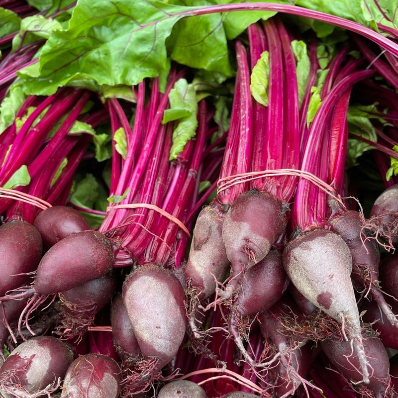 Beets